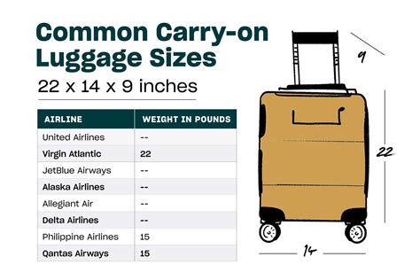 how many luggages are allowed on china airlines